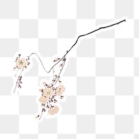 Pink cherry blossom sticker design element