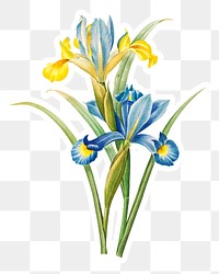 Iris flower sticker overlay design element 