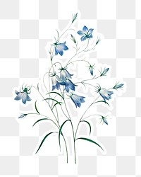 Campanule flower sticker overlay design element 