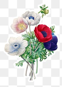 Anemone flower sticker overlay design element 