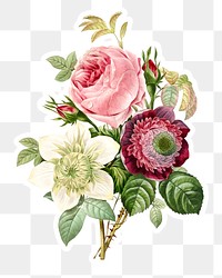 Cabbage rose and anemone flower sticker design element 
