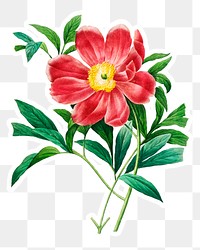 Red peony sticker over design element 