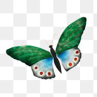 Butterfly vintage illustration transparent png