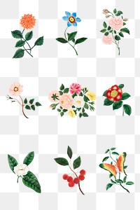 Vintage flower set illustration transparent png