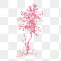 A red tall tree vintage illustration transparent png