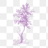 A purple tall tree vintage illustration transparent png