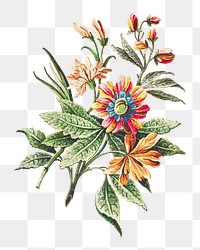 Vintage blooming colorful flower branch design element