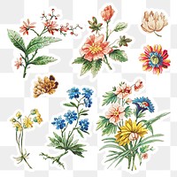 Vintage blooming flower sticker set design elements