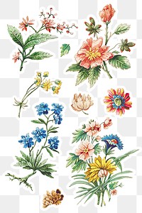 Vintage blooming flower sticker set design elements