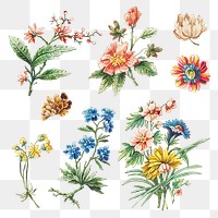 Vintage blooming flower set design elements