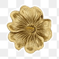 Vintage gold Alcea Rosea flower sticker with white border