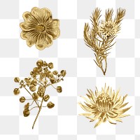Blooming gold flower illustration set
