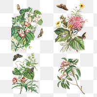Vintage floral collection design elements