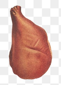 Vintage mild cured ham design element