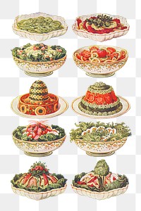 Vintage salad illustrations of cucumber salad, beetroot and tomato salad, Macédoine salad, tomato salad, Russian salad, Italian salad, prawn salad, egg salad, lobster salad, and salad dumas