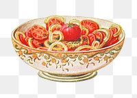 Vintage hand drawn tomato salad design element