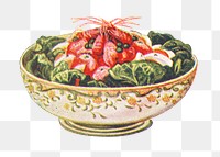 Vintage hand drawn prawn salad design element