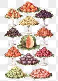 Vintage dessert and fruit illustrations design element