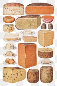 Vintage set of cheeses design resources  