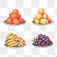 Hand drawn set of ripe fruits desing resources