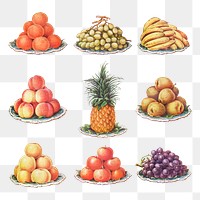 Hand drawn set of ripe fruits desing resources