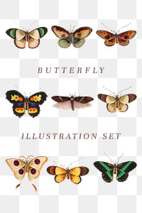 Butterflies and insects png vintage illustration set