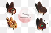 Png butterfly and insect vintage illustration set