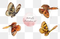 Png butterfly insect vintage illustration set