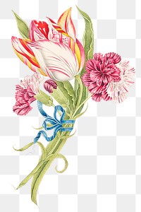 Vintage carnations and tulip png illustration, remixed from the 18th-century artworks from the Smithsonian archive.
