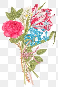 Vintage flowers png illustration, remixed from the 18th-century artworks from the Smithsonian archive.