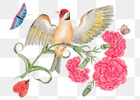 Vintage bird and carnations png illustration, remixed from the 18th-century artworks from the Smithsonian archive.