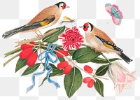 Vintage birds and berries png illustration, remixed from the 18th-century artworks from the Smithsonian archive.