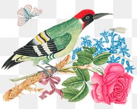 Vintage woodpecker and flowers png illustration, remixed from the 18th-century artworks from the Smithsonian archive.