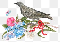 Vintage bird and flowers png illustration, remixed from the 18th-century artworks from the Smithsonian archive.