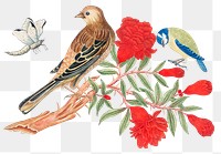 Vintage birds and red blossoms png illustration, remixed from the 18th-century artworks from the Smithsonian archive.