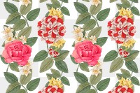 Png vintage flower pattern background, remixed from the 18th-century artworks from the Smithsonian archive.