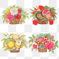 Vintage basket of flowers and fruits png illustration set, remixed from the 18th-century artworks from the Smithsonian archive.