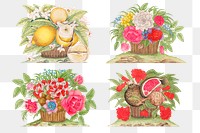 Vintage basket of flowers and fruits png illustration set, remixed from the 18th-century artworks from the Smithsonian archive.
