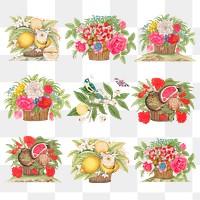 Vintage basket of flowers and fruits png illustration set, remixed from the 18th-century artworks from the Smithsonian archive.