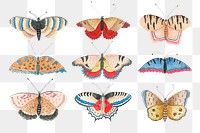 Vintage png butterfly and moth watercolor illustration set, remixed from the 18th-century artworks from the Smithsonian archive.