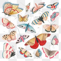 Vintage png butterfly and moth watercolor illustration set, remixed from the 18th-century artworks from the Smithsonian archive.