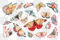 Vintage butterfly png illustration collection, remixed from the 18th-century artworks from the Smithsonian archive.