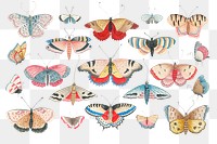 Vintage butterfly png illustration collection, remixed from the 18th-century artworks from the Smithsonian archive.
