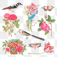 Vintage flowers and birds png illustration set, remixed from the 18th-century artworks from the Smithsonian archive.