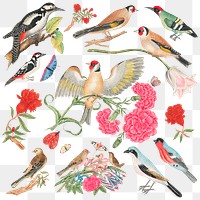 Vintage birds and flowers png illustration set, remixed from the 18th-century artworks from the Smithsonian archive.