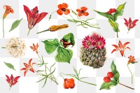 Vintage red, orange and pink flower png sticker set