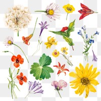 Colorful png blooming flowers botanical sticker set