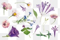 Purple wild plants set png illustration