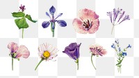Wild flowers blossom set png illustration sticker, remixed from the artworks by <a href="https://www.rawpixel.com/search/Mary%20Vaux%20Walcott?sort=curated&amp;page=1" target="_blank">Mary Vaux Walcott</a>