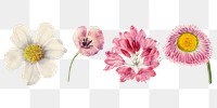 Wild flowers blossom png hand drawn sticker set, remixed from the artworks by <a href="https://www.rawpixel.com/search/Mary%20Vaux%20Walcott?sort=curated&amp;page=1" target="_blank">Mary Vaux Walcott</a>